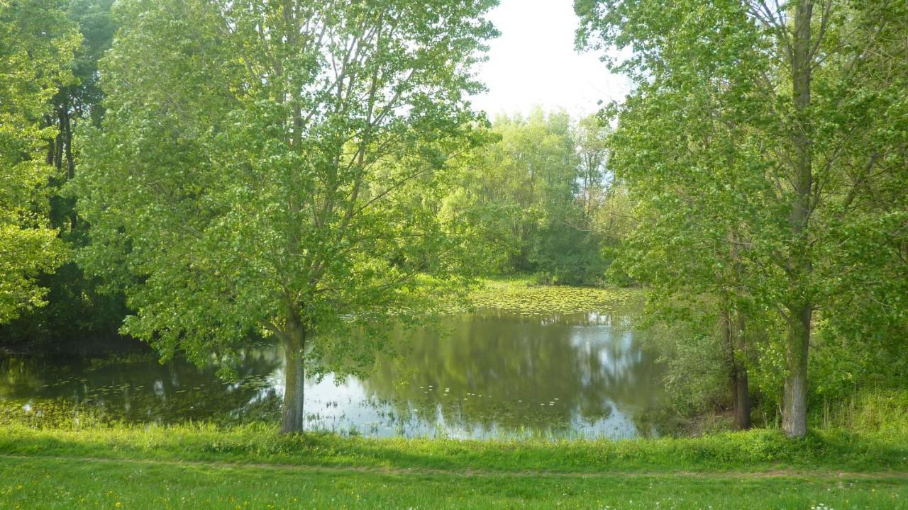 De Slaapmus Bed and Breakfast Boven-Leeuwen Eksteriør billede